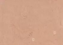 France 0.25 centimes - Ville de Wassy - Juillet 1917