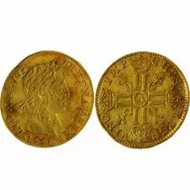 France 1/2 Louis d\'Or 1641 A Paris - Louis XIII - M&egrave;che longue - Tr&eacute;sor de Ploz&eacute;vet