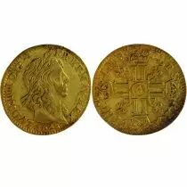 France 1/2 Louis d\'Or 1643 A Paris - Louis XIII - M&egrave;che mi-longue - Tr&eacute;sor de Ploz&eacute;vet