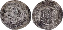 France 1/4 Teston, Charles Quint - 1623 - Silver