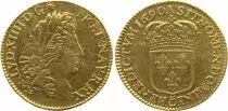 France 1 Louis dor, Louis XIV with Shield - Reformation 1690 A Paris