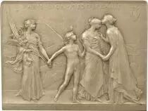 France Ass. Gle. des Actionnaires - Cie. des Chemins de Fer Paris-Lyon-Méditerranée  - Plaque Argent