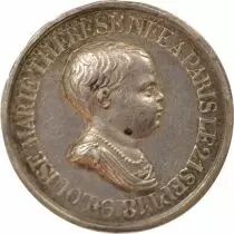 France Births, Louise d\'Artoise, Henri V - Silver Quinary