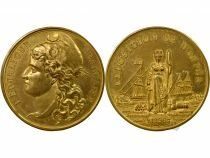 France Exhibition of Nantes - Copper Gilded Medal - 1896