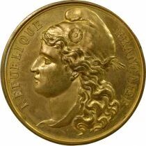 France Exhibition of Nantes - Copper Gilded Medal - 1896