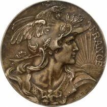 France IIIrd Republic, Loire inf&eacute;rieure - Silvered bronze Medal, Senator de Landemont - 1920 / 1932