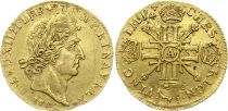 France Louis d\'or, Louis XIV  aux Insignes et 8 L - 1702 A Paris - Gold