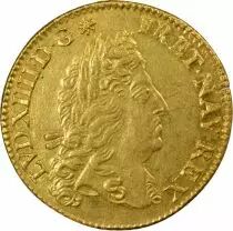 France Louis XIV - Gold Louis with Shield - 1690 A Paris