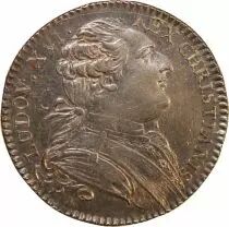 France Louis XVI, Procureur De La Ville De Nantes - Jeton Argent