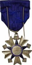France M&eacute;daille - Ordre de la Sant&eacute; Publique - Chevalier
