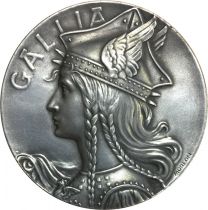 France Médaille Bronze France - Gallia - Pierre-Alexandre Morlon