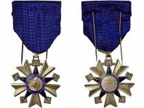 France Medal - Order of Public Health - Knight