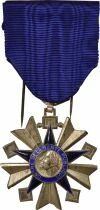 France Medal - Order of Public Health - Knight