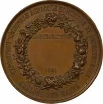 France Napoléon III - Copper Medal, Exp. of Châlons sur Marne - 1861