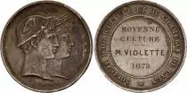 France Soci&eacute;t&eacute; d\'Agriculture et de Commerce de Caen - 1873 - Silver