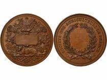 France Soci&eacute;t&eacute; des Agriculteurs de France  - M&eacute;daille Cuivre - XIXe Si&egrave;cle