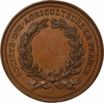 France Soci&eacute;t&eacute; des Agriculteurs de France  - M&eacute;daille Cuivre - XIXe Si&egrave;cle