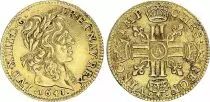 Francia 1/2 Louis d\'or, Louis XIII (1610-1643) - 1641 A Paris - Gold