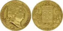 Francia 20 Francs Louis XVIII - 1817 Q Perpignan