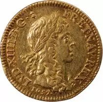 Francia Louis XIV - Gold Louis with Young Bust - 1659 A Paris