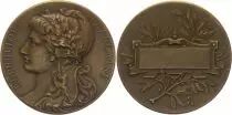 Francia Marianne - R&eacute;publique Fran&ccedil;aise - Bronze vers 1880 - non attribu&eacute;e