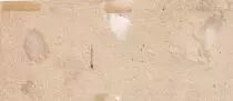 Frankreich 15 sols - Emergency home, rue des filles St. Thomas - 28-08-1791 - False