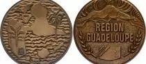 Frankreich R&eacute;gion Guadeloupe - Bronze