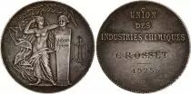 Frankreich Union des Industries Chimiques - 1925 - Silver