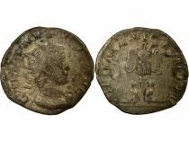 Gallienus - Antoninianus, Germanic Trophy - 257 / 258 Trier