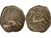Gaul Bituriges Cubi  - Denarius with Branch and pointed Annulet - Ist Century BC