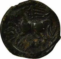 Gaule (Suessions) Bronze, Cricirv - 50 / 40 Av JC