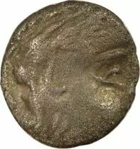 Gaule Allobroges - Denier au Cervid&eacute;, T&ecirc;te &agrave; droite- Ie Si&egrave;cle Av JC