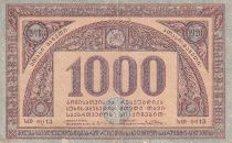 Georgia 1000 Rubles - 1920 - VF - P.14b