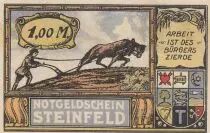 Germania 1 Mark - State of Steinfeld - 30-11-1921 - Number 03429