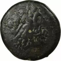 Grece (Egipto) Tetrobol - Ptolemaic Kingdom - Ptol&eacute;my IV - Lotus Blossom Serie - Paphos