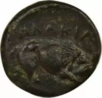 Gr&egrave;ce (Mysie) Mysie, Placia- Bronze - IVe Si&egrave;cle Av JC