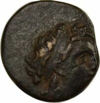 Gr&egrave;ce (Royaume Seleucide) Diodote Tryphon - Dichalque, au Casque Mac&eacute;donien - 142 / 138 Av JC