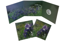 Gr&egrave;ce L\'Iris hell&eacute;nique - 5 Euros Gr&egrave;ce 2020 Couleur