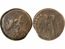Grecia (Egitto) Royaume Lagide, Ptol&eacute;m&eacute;e VI - Ditrachalque 170 / 164 Av Jc