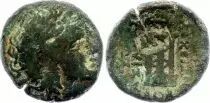 Grecia (Reino Seleucide) Mac&eacute;doine, Auguste - Assarion - 27 Av JC / 14