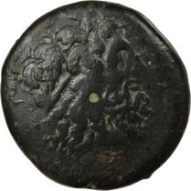 Greece (Egypt) Tetrobol - Ptolemaic Kingdom - Ptolémy IV - Lotus Blossom Serie - Paphos