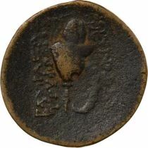 Greece (Seleucid Kingdom) Diodotus Tryphon - Dichalkon, with Macedonian Helmet - 142 / 138 BC