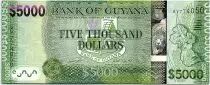 Guayana 5000 Dollars Arms - Island map -  ND (2019) - UNC