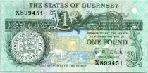 Guernesey 1 Pound - Daniel de Lisle Brock - Place du march� en 1882