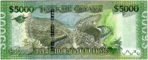 Guyana 5000 Dollars  Carte de l\'île - Paysage - ND (2019) - Neuf