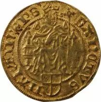 Holanda Bishoprics of Utrecht, David of Bourgogne - Gold Florin - 1456 / 1496
