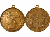 IIIrd Republic - Copper Medal, Souvenir of the Conscription Lottery - 1889