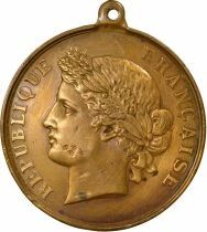 IIIrd Republic - Copper Medal, Souvenir of the Conscription Lottery - 1889