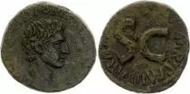 Imperio Romano Dupondius - Hadrien - PIETAS AVGVSTI S C - (121-123)