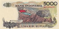 Indonésie 5000 Rupiah -Sasando Rote - Volcan -1992 - Série WSF - P.130